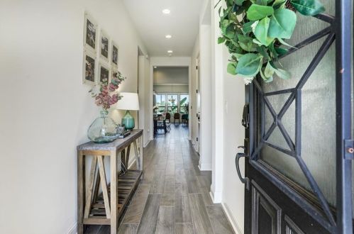 13121 Cardinal Flower Dr, Austin TX  78739 exterior