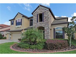 7925 Hampton Lake Dr, Tampa FL  33647-3558 exterior