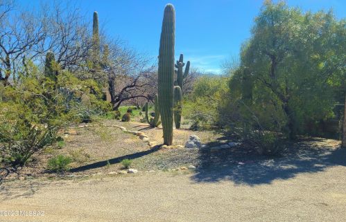 11364 Prince Rd, Tucson AZ 85705-3025 exterior