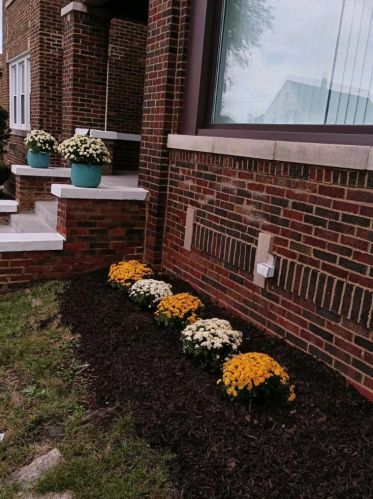 9329 Forest Ave, Chicago IL  60619-7309 exterior