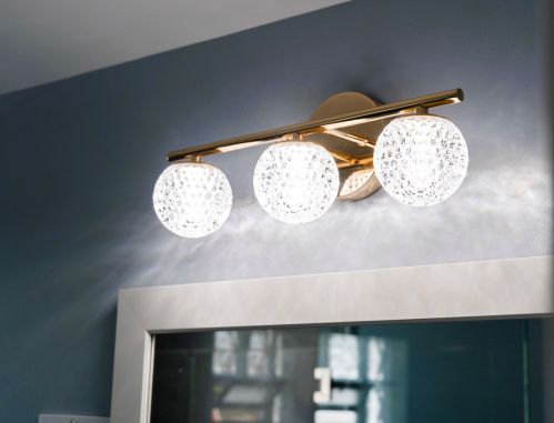 10205 Wallace St, Chicago IL 60628-1831 exterior