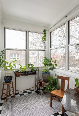 7447 Hoyne Ave, Chicago IL 60645-2266 exterior