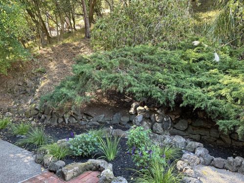 348 Laurel Way, Mill Valley CA 94941-4046 exterior