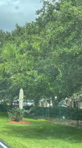 908 Savannas Pt, Fort Pierce FL 34982-6785 exterior