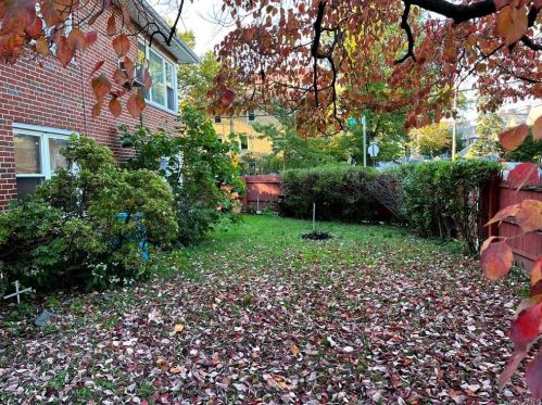 1020 Lydig Ave, Bronx NY 10462-2260 exterior