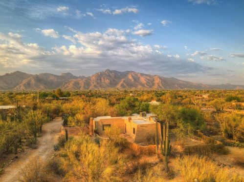 5410 Genematas Dr, Tucson, AZ 85704-5210