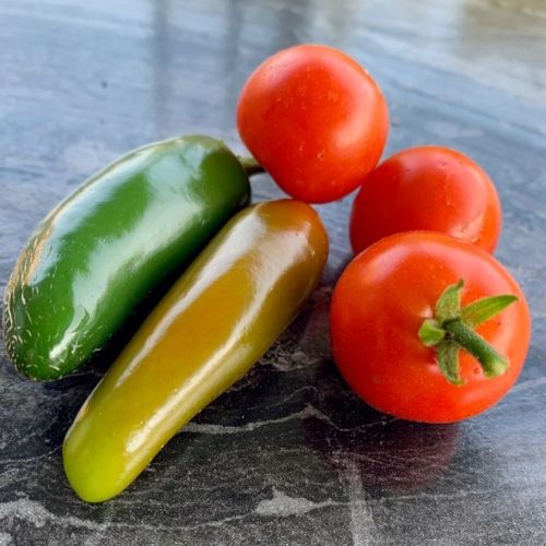 7205 Mcclure Ave, Pittsburgh PA  15218-2307 exterior