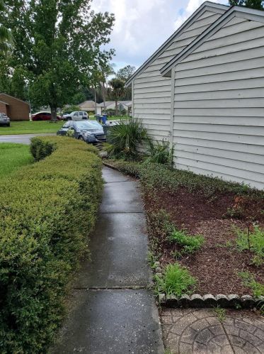 3244 Fox Lake Dr, Tampa FL  33618-1439 exterior