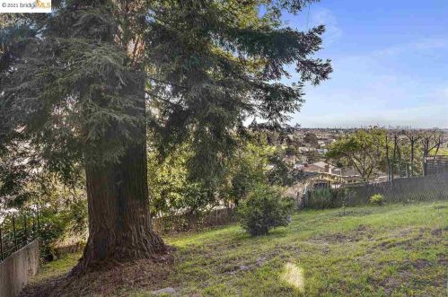 864 Hillside, Berkeley CA 94706-1024 exterior