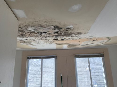 10030 Lowe Ave, Chicago IL 60628-4714 exterior