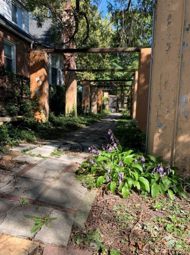 7708 Luella Ave, Chicago IL 60649-5008 exterior