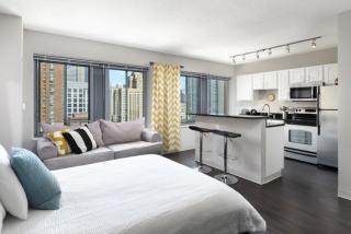 121 Chestnut St, Chicago IL  60610-3175 exterior