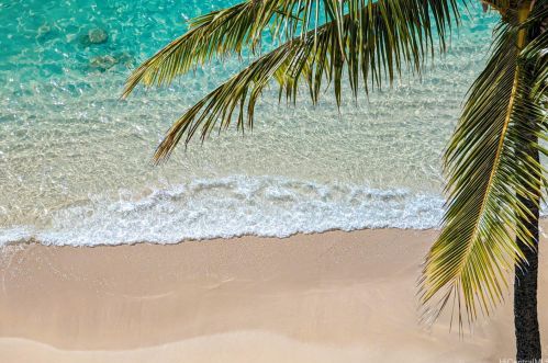 2895 Kalakaua Ave, Honolulu HI  96815-4093 exterior