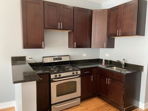 851 Hamlin Ave, Chicago IL 60805-1416 exterior