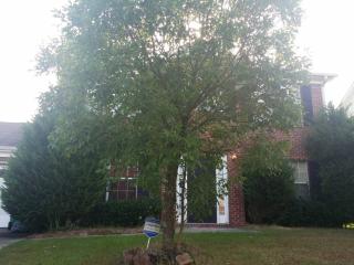 5842 Wellborn Oaks Ct, Lithonia GA  30058-3977 exterior