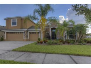 19126 Climbing Aster Dr, Tampa, FL 33647-3543