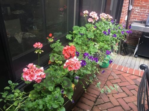 119 High St, Boston MA exterior