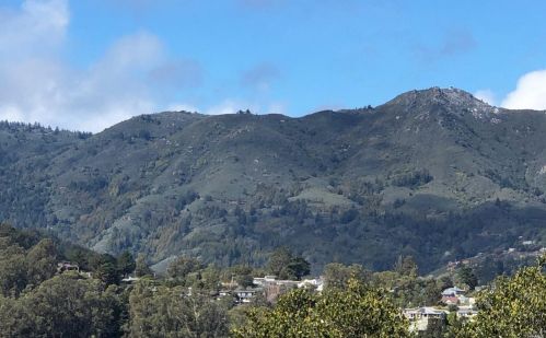 4 Loring Ave, Mill Valley, CA 94941-3410