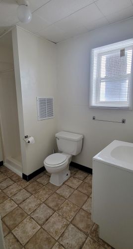 521 State St, Big Rapids MI 49307-1954 exterior