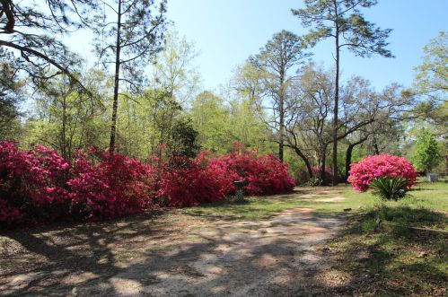 36 Williams Rd, Defuniak Springs FL 32433-5411 exterior