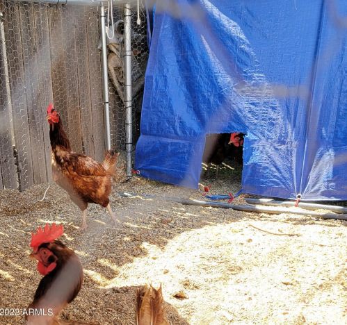 2641 Aire Libre Ave, Phoenix AZ 85032-2813 exterior