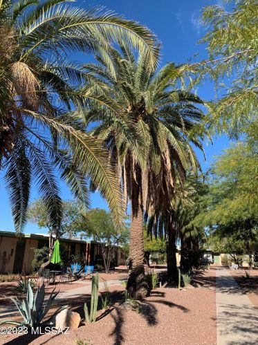 2961 17th St, Tucson, AZ 85716-5643