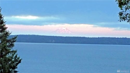 130 Treasure Ln, Grapeview, WA 98546-9685