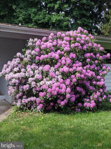 134 Bull Run Rd, Trenton, NJ 08638-1316