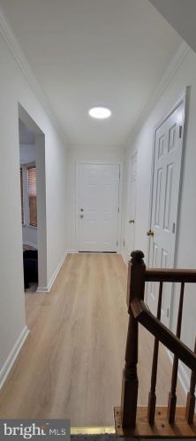 7453 Digby Grn, Alexandria VA  22315-5219 exterior