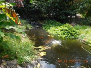 17104 Binddale Ct, Portland OR  exterior