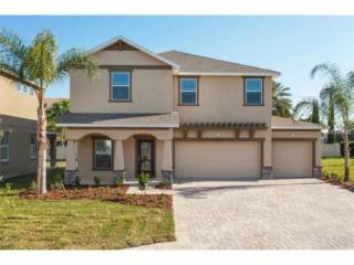 2923 North B St, Tampa FL  33609-2335 exterior