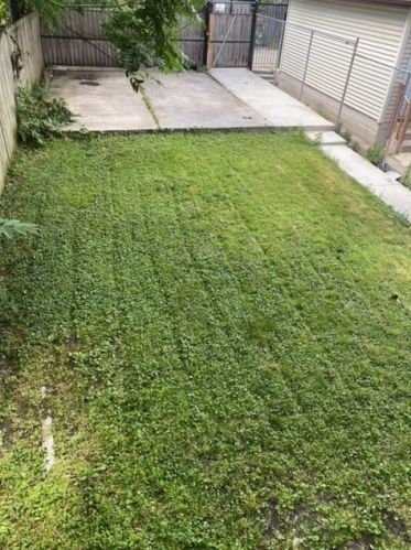 1546 Drake Ave, Chicago IL 60623-2168 exterior