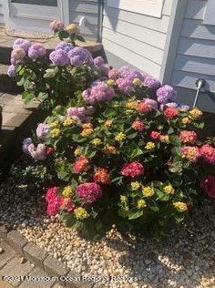 11 Philadelphia Ave, Lavallette NJ 08735-2345 exterior