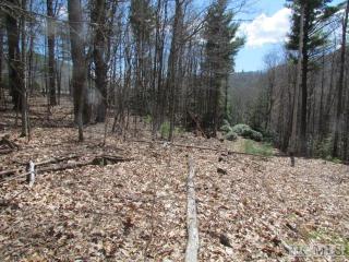 4 Sherwood Forest Ln, Cullowhee, NC 28723