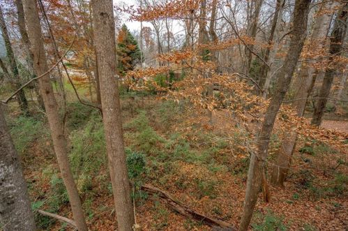 4411 Driftwater Rd, Duluth GA 30096-6244 exterior