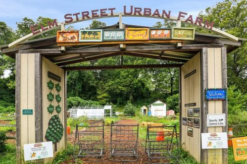 379 Elm St, Atlanta GA 30318-8501 exterior