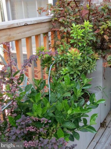 324 Camac St, Philadelphia PA 19140-4214 exterior