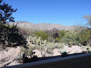 5150 Placita Del Lazo, Tucson AZ  85750-1535 exterior