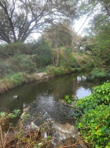 501 Grove Ct, Altamonte Springs FL 32714-1436 exterior