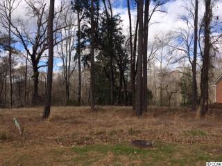 242 Rivers Edge Dr, Conway SC  29526-7571 exterior