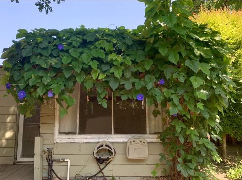 326 4 St, San Jose CA 95112-5254 exterior