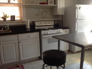 4038 Spring Ave, Saint Louis MO  63116-4516 exterior