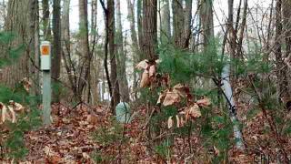 8 Pinecrest Dr, Schenectady NY  12309-1640 exterior