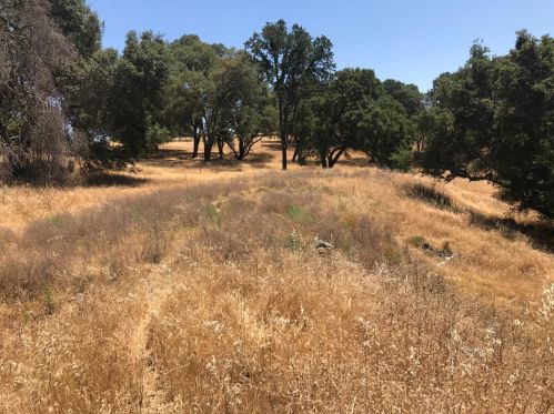 2040 Grn Spg Rd, Folsom CA 95762-9722 exterior