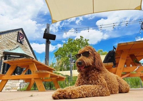 6423 Murdoch Ave, Saint Louis MO 63109-2656 exterior