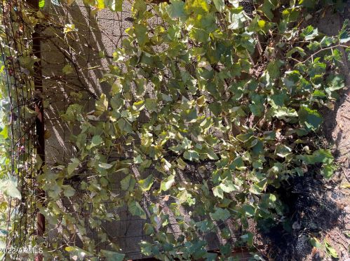 1620 Acoma Dr, Phoenix AZ 85032-5226 exterior