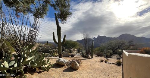 11435 Skywire Way, Tucson, AZ 85737-3446