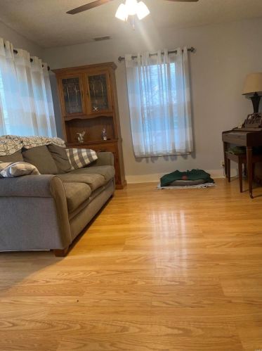 204 Orch St, Spring Bluff MO 63080-2430 exterior