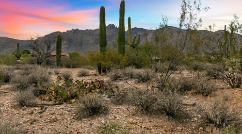 6050 Piedra Seca, Tucson, AZ 85718-3106