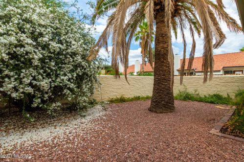 6370 Orange Tree Dr, Tucson AZ 85704-3955 exterior